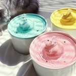 [링펫]강아지 고양이 아이스크림 정수기 세라믹 자동급수기